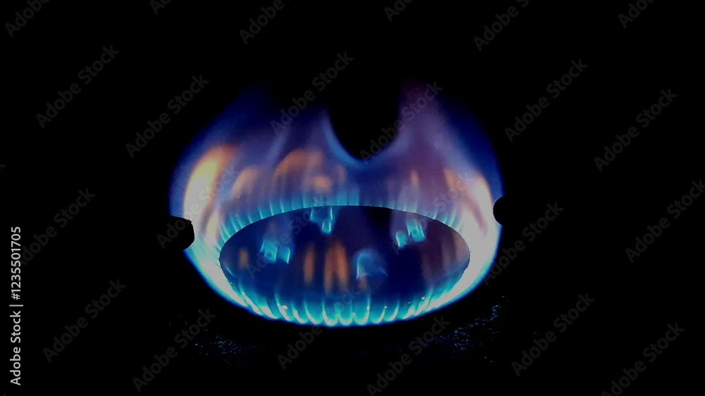 The gas burns in the burner of a kitchen stove The gas burns in the burner of a kitchen stove