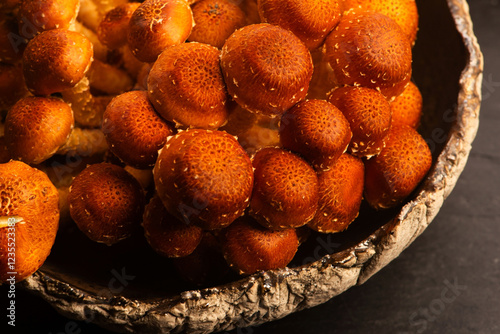 Chestnut mushroom, Pholiota adiposa, head mushroom