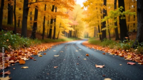 Autumnal Road Through Golden Canopy of Trees, Fallen Leaves Lining the Asphalt Pathway