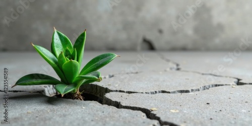 Resilience personified A vibrant green plant bravely emerges from a cracked surface, symbolizing strength, adaptation, and the indomitable spirit of life. photo