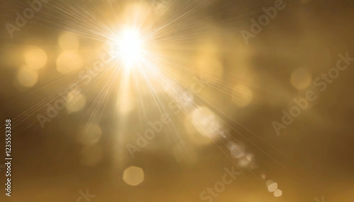 黄金の光　穏やかに差し込む太陽の輝き