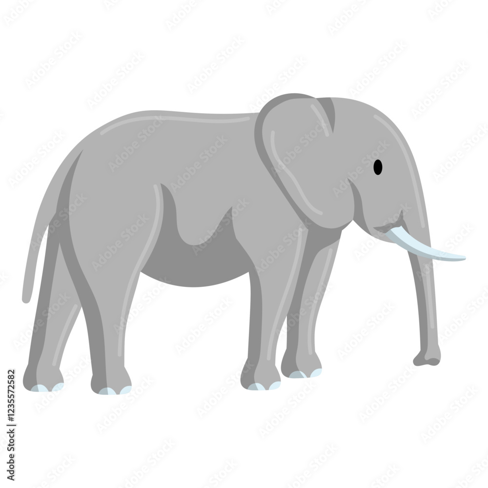 Obraz premium Elephant