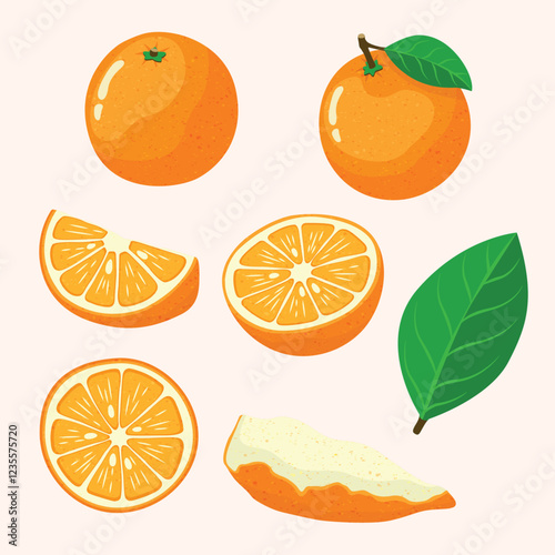 Fruit, Orange, Tropical Fruits, Set of Vector Illustrations