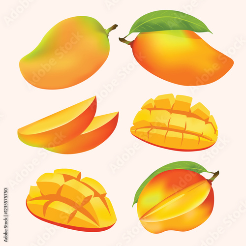 Fruit, Mango, Tropical Fruits, Set of Vector Illustrations