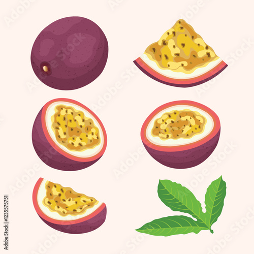 Fruit, Passion Fruit, Tropical Fruits, Set of Vector Illustrations