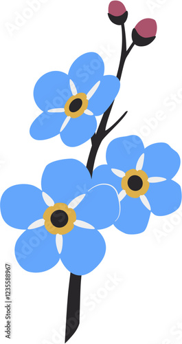 Forget me nots, Myosotis, Scorpion grasses