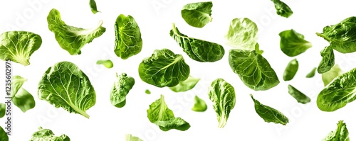 Fresh green lettuce leaves falling studio food photography white background