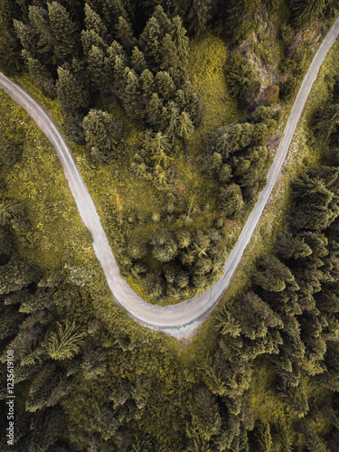 Drone view of a winding road cutting through dense, vibrant green woods, providing a pristine nature landscape embodying tranquility, adventure, and the serenity of untouched wilderness.