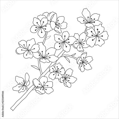 Beautiful cherry blossom flowers buds hand drawn vector doodle isolated on white