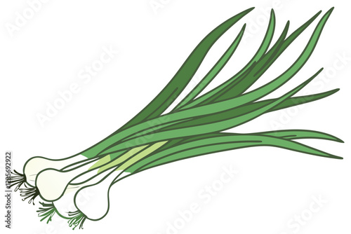 Photo of a bunch of green onions on a white background, taken from above, showing the entire bunch, the onions are green and white with long, thin, green leaves and white bulbs at the bottom, the ligh