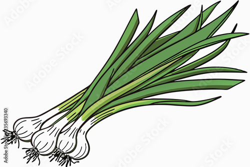 Photo of a bunch of green onions on a white background, taken from above, showing the entire bunch, the onions are green and white with long, thin, green leaves and white bulbs at the bottom, the ligh
