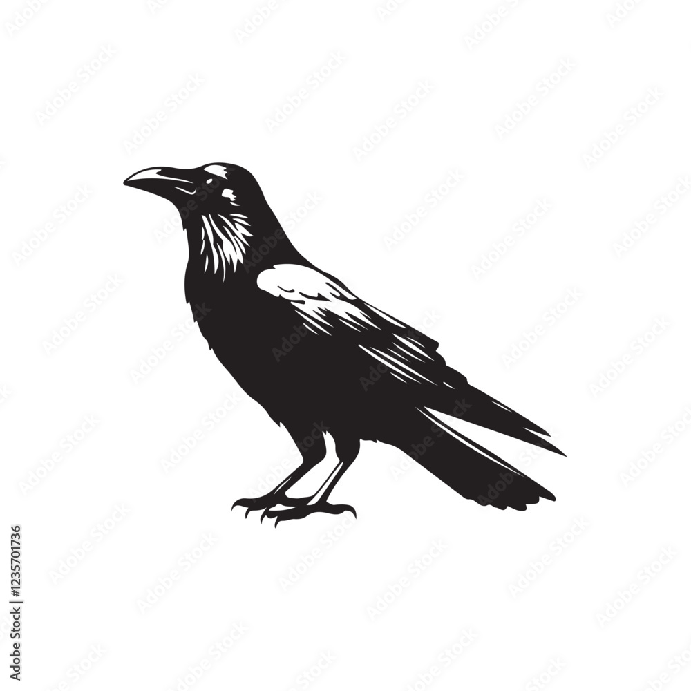 Fototapeta premium crow on a white background