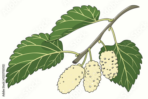 Fresh white mulberries, vibrant green mulberry leaves, organic fruit, botanical illustration, soft lighting, macro photography, textured detail, crisp focus, natural background, farm-to-table, healthy