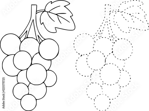 Grape coloring pages for kids. Trace and color grape. Grape line art vector for coloring books. 