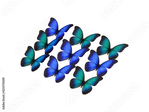 3d butterfly isolated on white transparent PNG background
 photo
