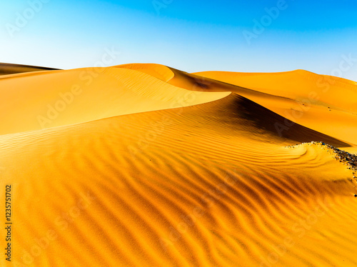 Fototapeta Naklejka Na Ścianę i Meble -  Desert View in Liwa