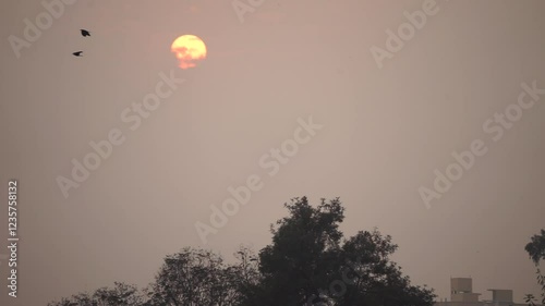 Sunset view in clouds, birds, kites, trees and buildings