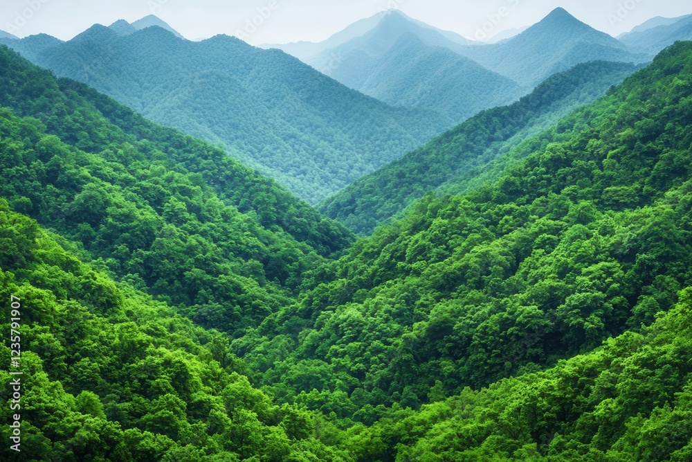 Fototapeta premium environmental conservation sustainability preservation restoration. Sustainable Tourism for Ecosystems Promoting eco-tourism to fund preservation efforts while supporting restoration projects
