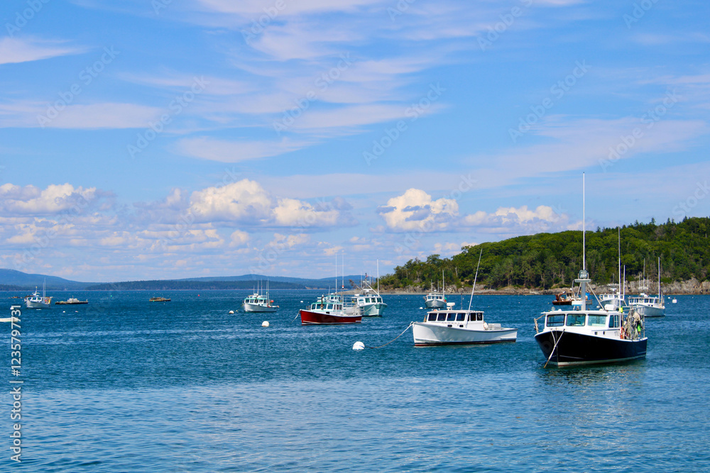 Fishing boats anchored on a clear day Fishing boats anchored on a clear day