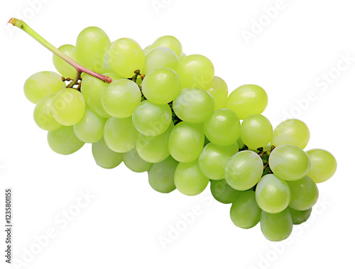a bunch of green grapes