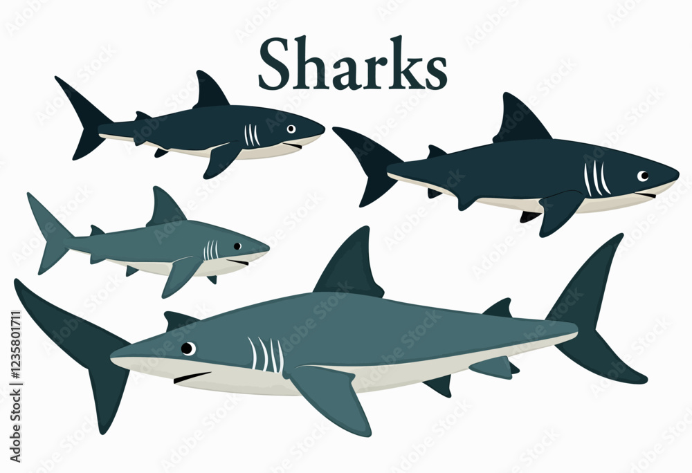 Obraz premium Muted Color Shark Poster: Flat Illustration, White Background, Text 