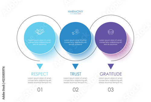 Business infographics. Chart with 3 steps, labels, options, circles. Vector infographic elements, circle chart