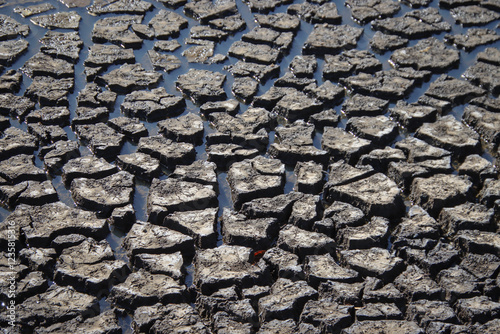 A network of cracks in dried mud