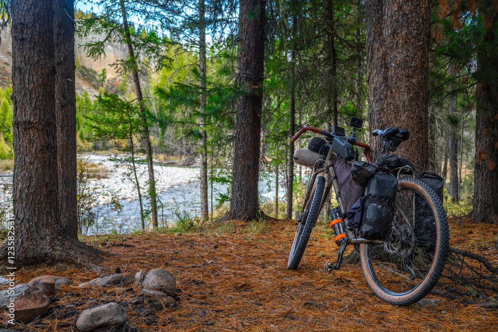 Fototapeta premium Bicycle with bags for transporting things on a trip