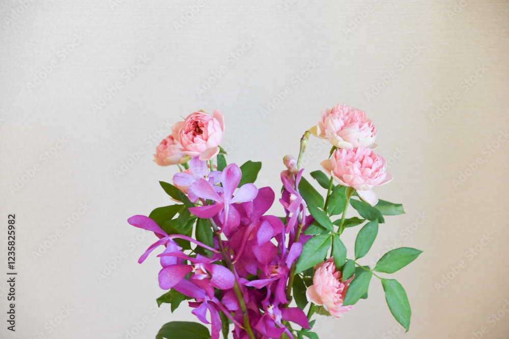Obraz premium 薔薇とアランダ
