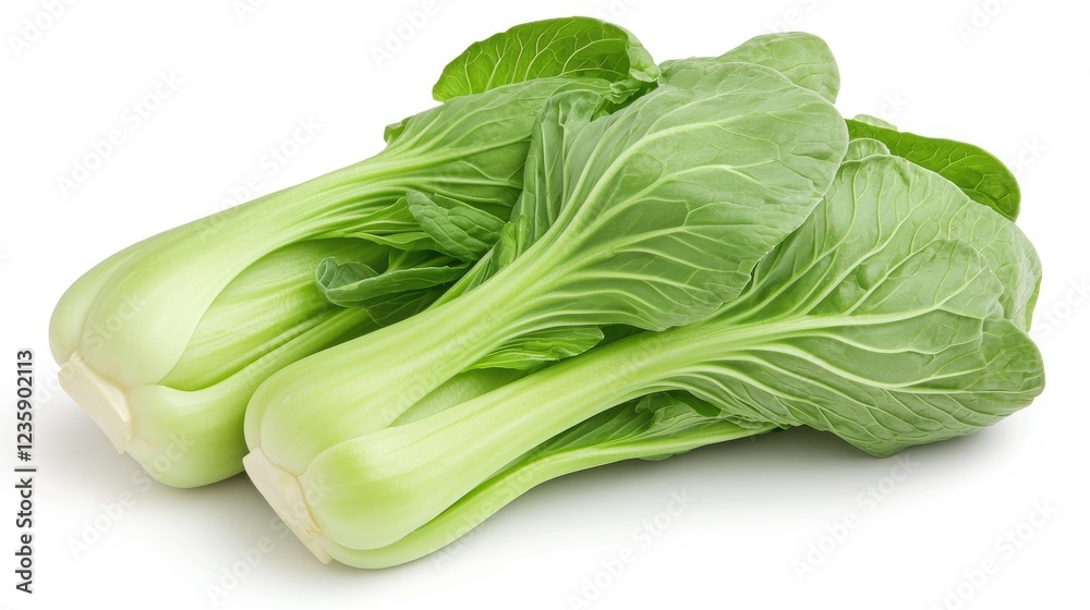 Fresh Bok Choy on White Background Fresh Bok Choy on White Background