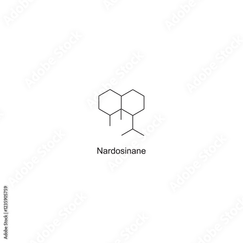 Nardosinane skeletal structure.Sesquiterpene compound schematic illustration. Simple diagram, chemical structure.