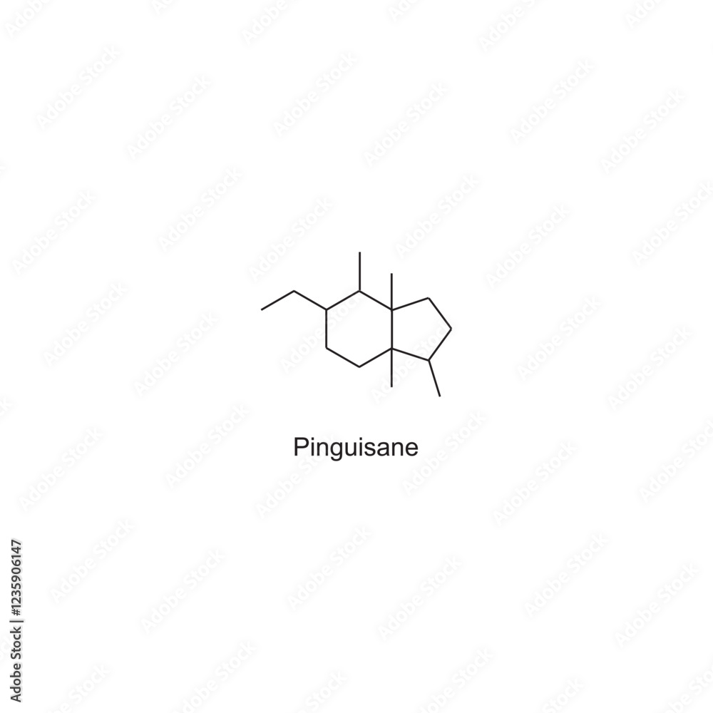 Fototapeta premium Pinguisane skeletal structure.Diterpene compound schematic illustration. Simple diagram, chemical structure.
