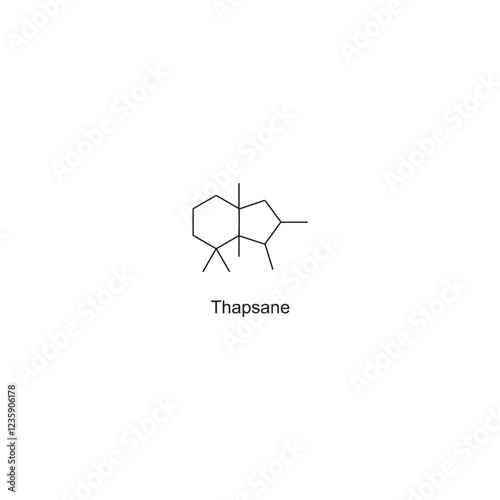 Thapsane skeletal structure.Diterpene compound schematic illustration. Simple diagram, chemical structure.
