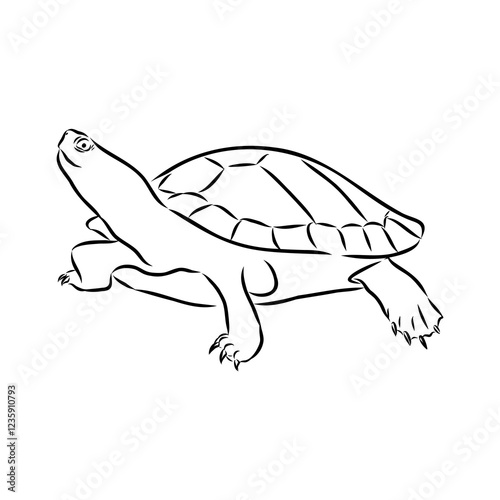 sea turtle, vector sketch