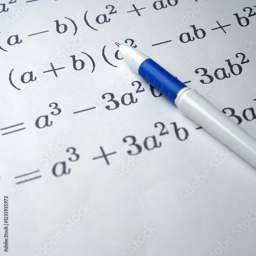 Exploring the fundamentals of algebraic expressions in study notes