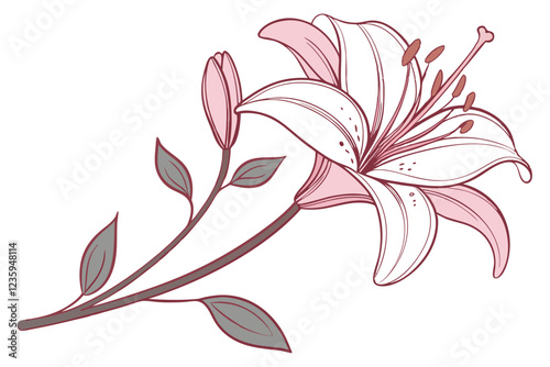 Delicate pink lily flower, botanical illustration, soft petals, gradient shades, watercolor effect, single bloom, white background, detailed stamen, transparent layers, elegant floral art, macro photo