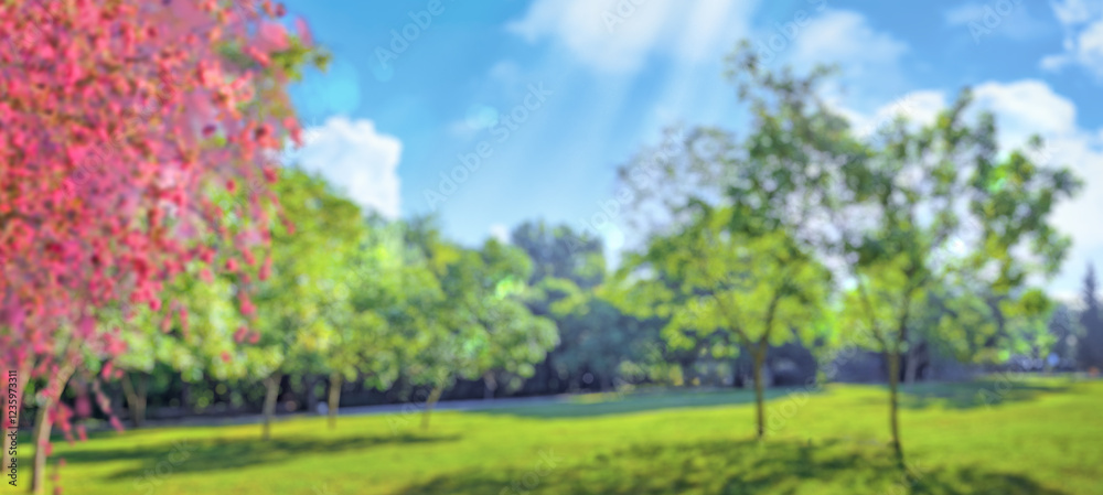 soft focus blurred grass on meadow background and trees in flowers at spring park soft focus blurred grass on meadow background and trees in flowers at spring park