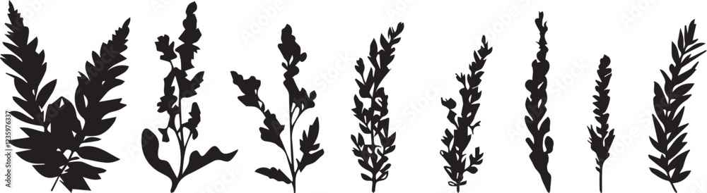 Set plants. Hand drawn vector illustration Set plants. Hand drawn vector illustration