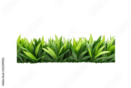 A detailed macro shot of synthetic turf blades, arranged uniformly with a natural grass appearance for football field use. photo