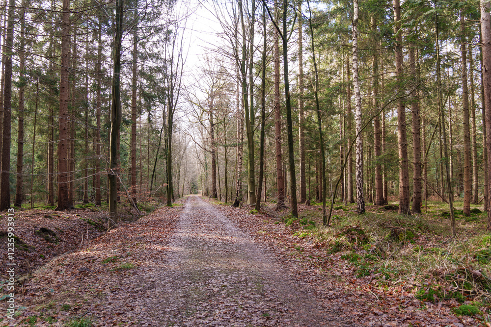 Fototapeta premium Fürstenau im Onsabrücker Land