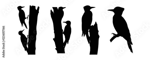 Set of woodpecker silhouette illustration isolated on a white background