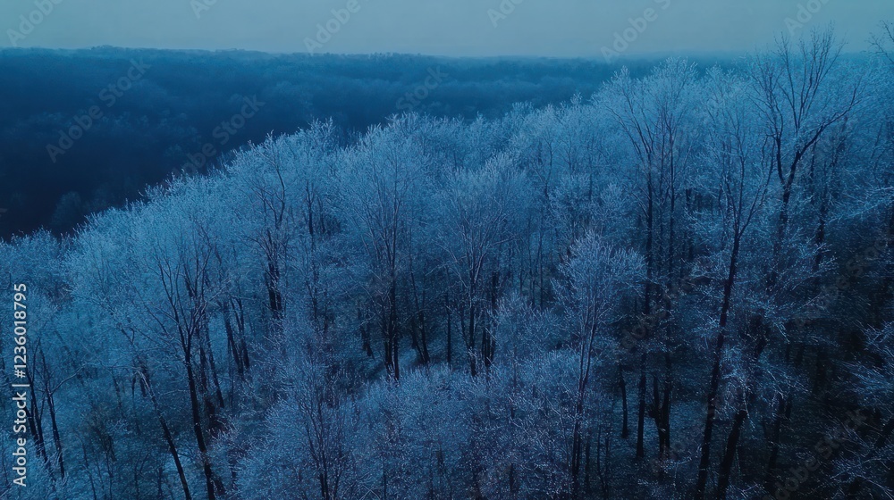 Aerial view snow-covered forest at twilight, hills in background, winter nature scene Aerial view snow-covered forest at twilight, hills in background, winter nature scene