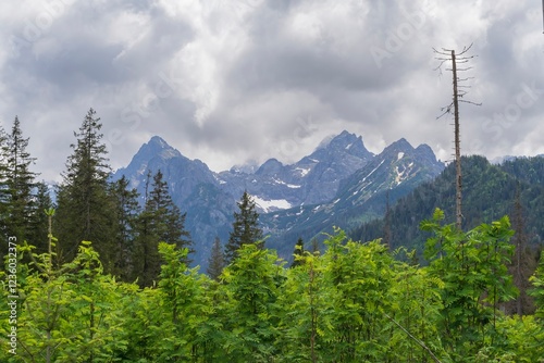 Fototapeta Naklejka Na Ścianę i Meble -  View of the peaks of the Tatra Mountains in Poland. Beautiful landscape with mountains and clouds.