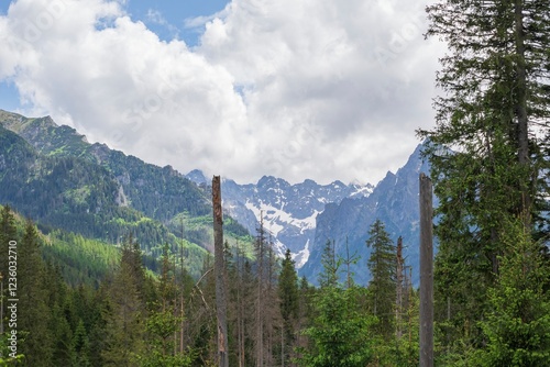 Fototapeta Naklejka Na Ścianę i Meble -  View of the peaks of the Tatra Mountains in Poland. Beautiful landscape with mountains and clouds.