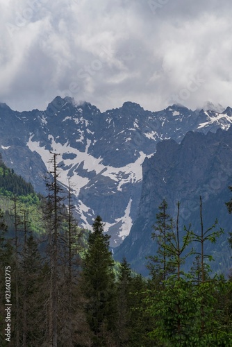 Fototapeta Naklejka Na Ścianę i Meble -  View of the peaks of the Tatra Mountains in Poland. Beautiful landscape with mountains and clouds.