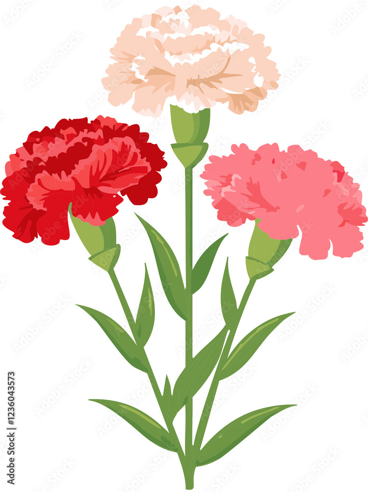 flower, 로즈, 네이처, 꽃, 분홍, 식물, 벡터, 꽃다발, 여름, 나뭇잎, 도안, 봄, flower, red, 양귀비, 도안, 삽화, 뜰, 미술, 미, 카네이션, 블로섬, 딱지, 데코, 카네이션, 꽃, 감사, 스승의날, 어버이날, 축화, 기념, 카네이션 일러스트, 꽃 삽화