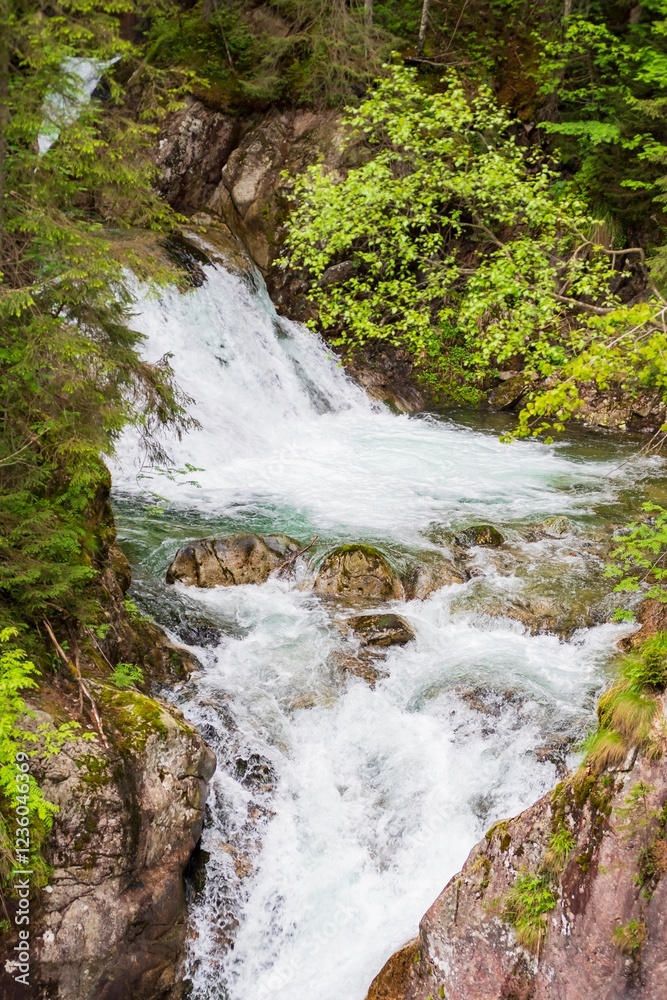 Beautiful mountain waterfall in the forest. Mountain landscape with a waterfall. Beautiful mountain waterfall in the forest. Mountain landscape with a waterfall.