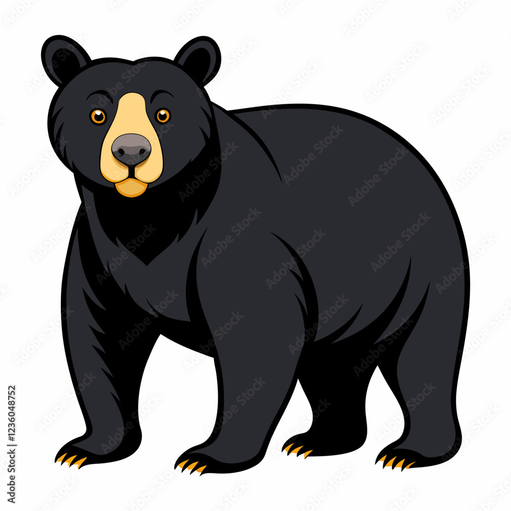 Fototapeta premium Bear vector on white background.
