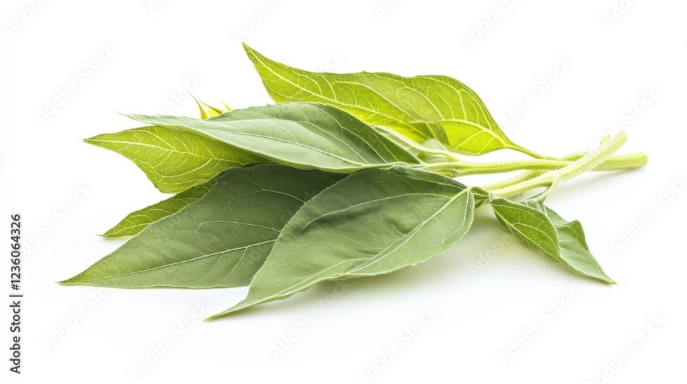 A cluster of fresh green leaves placed on a clean white surface A cluster of fresh green leaves placed on a clean white surface