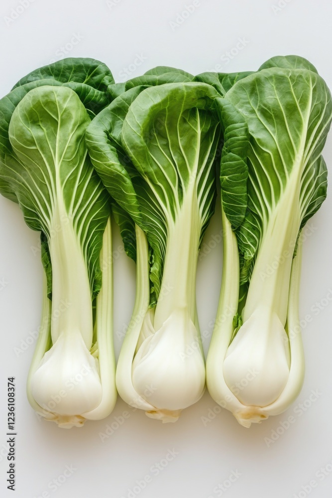A close-up view of various vegetables arranged on a table